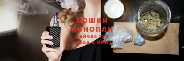 прущие грибы Снежногорск