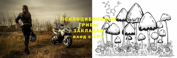 мескалин Богданович