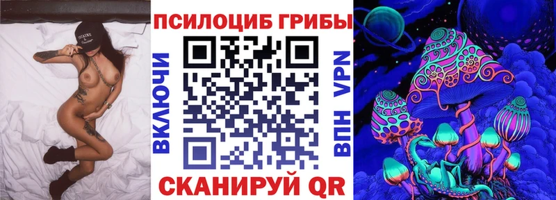 Галлюциногенные грибы прущие грибы  Торопец 