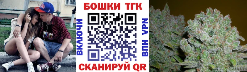 Бошки Шишки план  Торопец 
